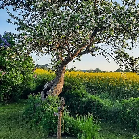 Timber-framed Idyll With Views Of The Fields *