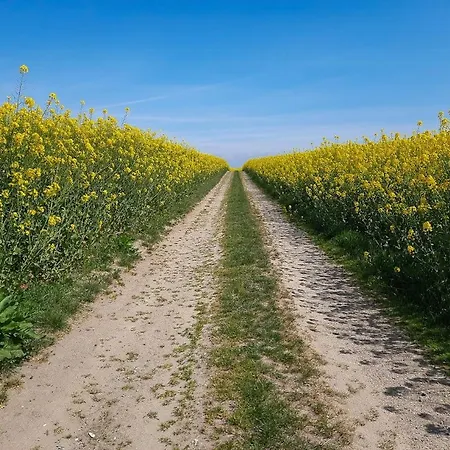 Timber-framed Idyll With Views Of The Fields * Humble